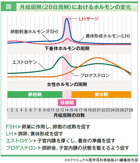 基礎から知る、不妊治療 ファーマスタイルweb