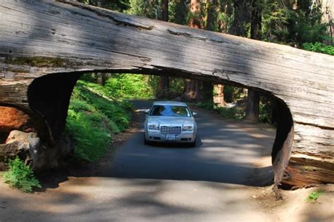 Top 9 Sequoia National Park Attractions