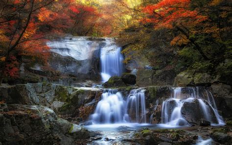 Wallpaper Trees Landscape Colorful Forest Fall Leaves Waterfall