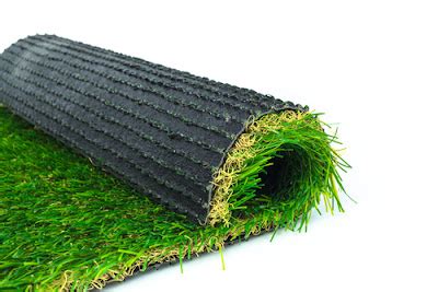 7 Important Tips On Carpet Grass Maintenance (Updated) - Singapore ...