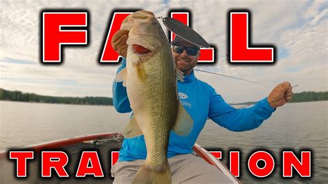 Where Do Bass Go During The Fall Transition And How To Catch Them