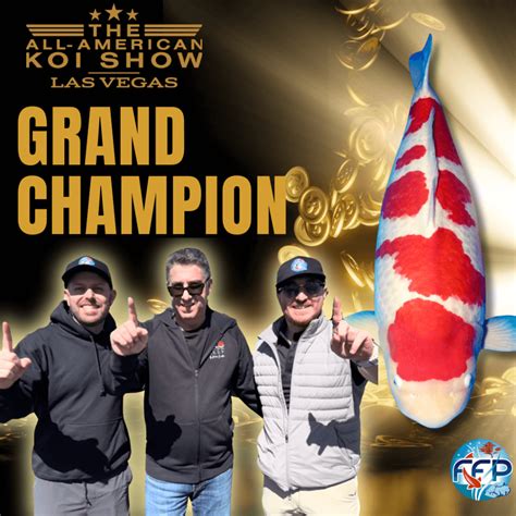 Fitzs Fish Ponds Polo Reef Win Grand Champion At All American Koi