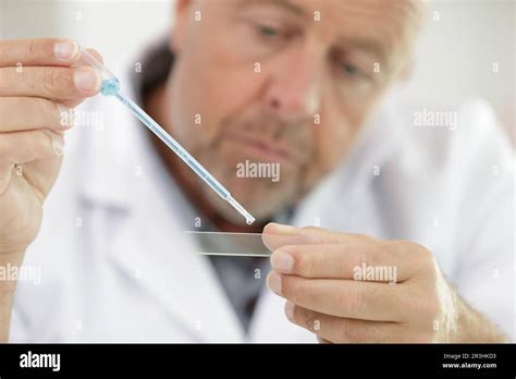 Mature Scientist With Grey Hair Using A Pipette Stock Photo Alamy