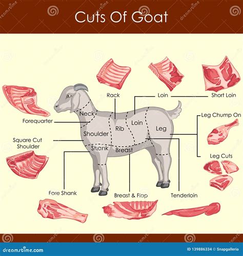 Vector Illustration Of Different Cuts Of Goat Stock Vector