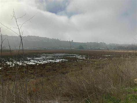 Ballona Wetlands Trail - California | AllTrails