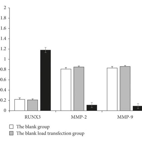 Proliferation Curves Of Different HT 29 Cells Detected By MTT Assay