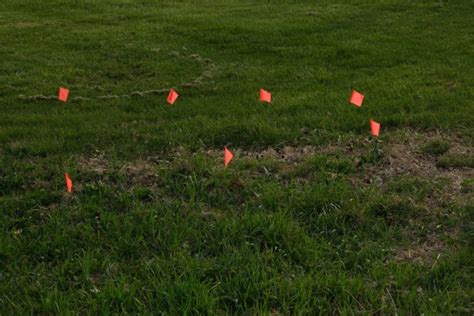 Marker Flags In Grass Free Stock Photo - Public Domain Pictures