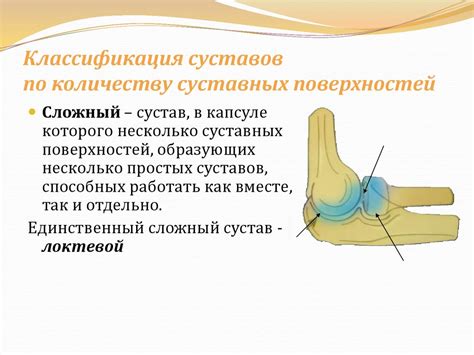Артросиндесмология. Учение о соединениях костей - презентация онлайн