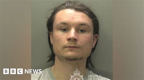 Swansea Sex Attacker Who Prowled City For Victims Jailed Bbc News