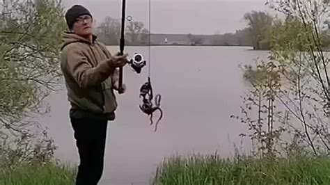 На кого эта насадка