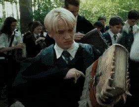 Draco Malfoy GIF - Find & Share on GIPHY