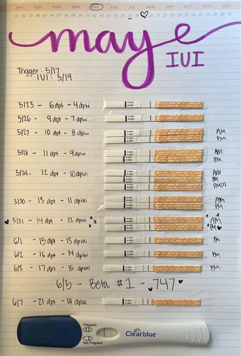 Progression Pic Iui W Trigger Shot R Lineporn