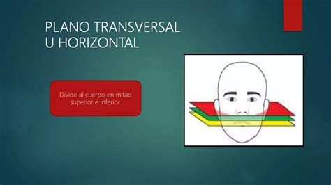 Tecnicas Radiograficas Intrabucales Ppt