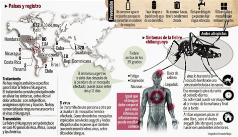 Conoce los síntomas de la fiebre Chikungunya