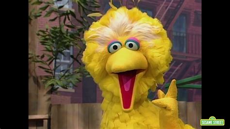 Classic Sesame Street One In A Million Song With Big Bird And Gina