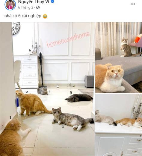 Hot girl bị tố tiểu tam từng ẩn mình trên MXH giờ ra sao Báo Tri thức và Cuộc sống TIN TỨC