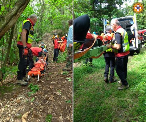 Cercatrice Di Funghi Soccorsa Nel Bosco