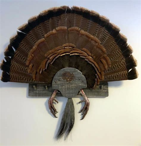 Turkey Fan Mount Multiple Beards Etsy Turkey Mounts Hunting