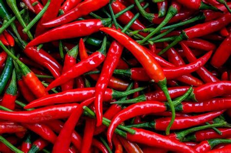 Hybrid Red Chilli Pepper Seeds (Demon F1 Variety | EastWest Brand) - 5g ...