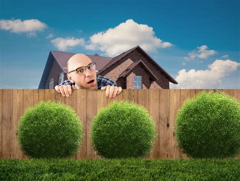 Neighbors debate the legality of living in a van down by the river 12