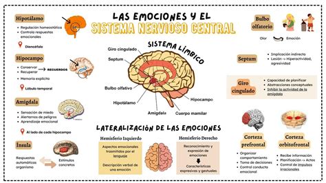 Pptx Sistema Limbico Y Emociones Dokumen Tips Hot Sex Picture