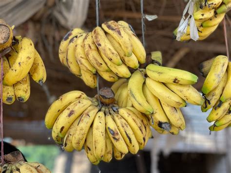 Do bananas cause headaches? A food scientist peels away the myth