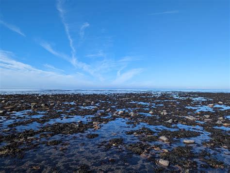 Aberaeron Beach - Park Hall