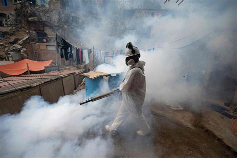 Dengue en América Latina transmisión casos y prevención Columna Digital