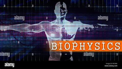 Biophysics Medical Industry With Human Body Scan Concept Stock Photo