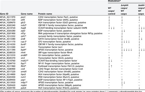 Transcription Factors With Modulation Of Phosphorylation Download