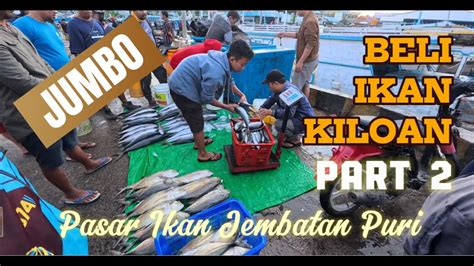 Ikan Mubara Jumbo Kiloan Belanja Ikan Kiloan Di Pasar Ikan Jembatan