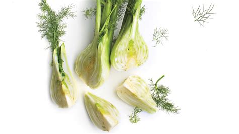 25 Truly Fabulous Fennel Recipes | Martha Stewart