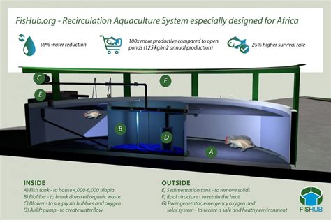 Fishub A Recirculating Aquaculture System Ras For Africa