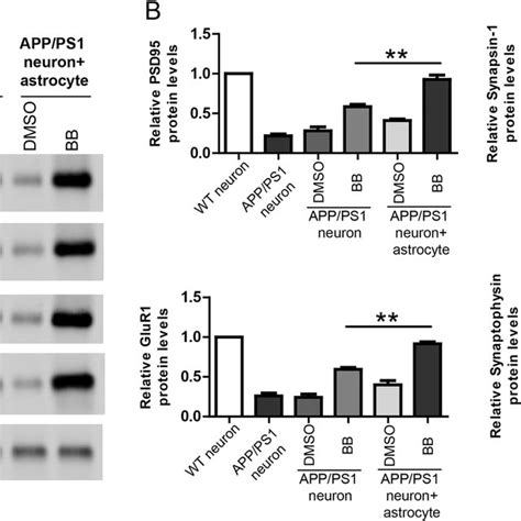 Bilobalide induces the expression of Aβ degrading enzymes to facilitate