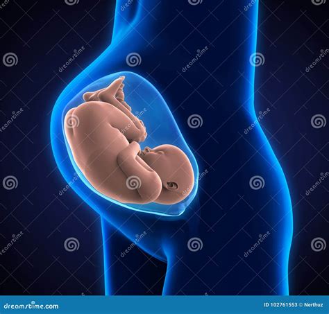 3d Render Of A Pregnant Female Character Royalty Free Stock Photo