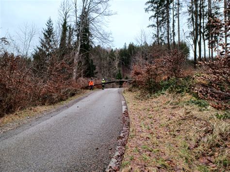 Umgest Rzte B Ume Feuerwehr Zell