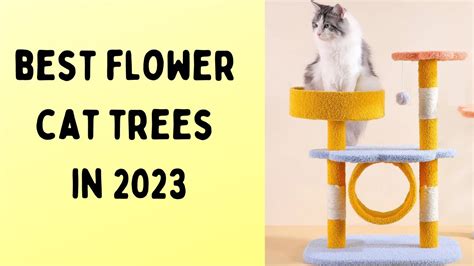 Best Flower Cat Trees In 2023 Youtube