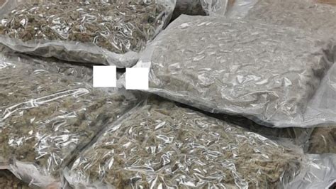 Over €500k Worth Of Drugs Suspected To Be Cannabis Seized By Gardaí In