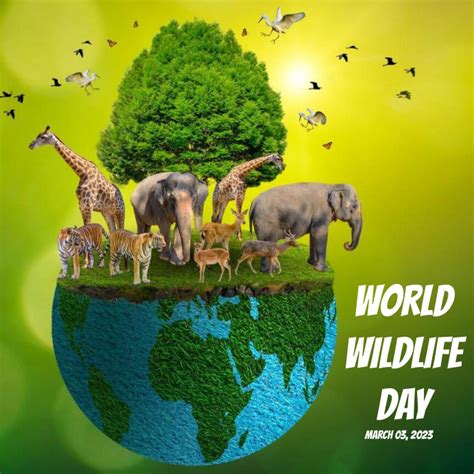 World Wildlife Day Template Postermywall