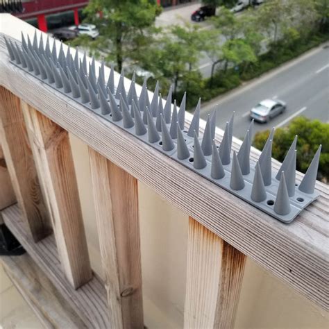 Bird Spikes Bird Deterrent Spikes For Small Birds Pigeon Squirrel