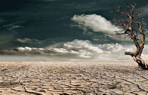 Desertification | What it is, about, process, causes, consequences ...