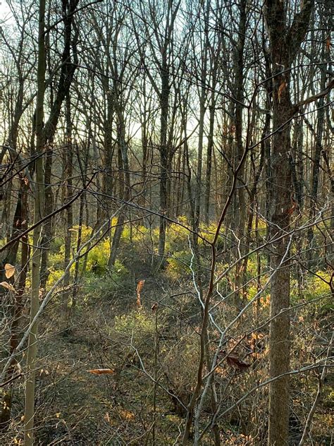 Marsh Creek Trail - Pennsylvania | AllTrails