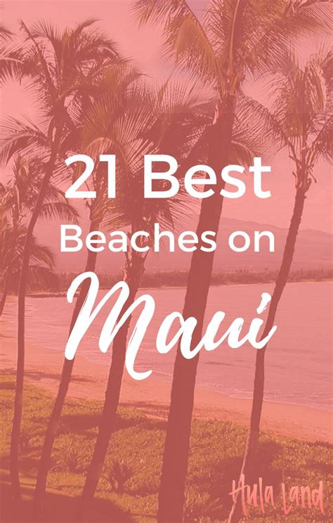 15 Best Beaches In Wailea And Kihei Snorkeling Spots Lincoln Travel