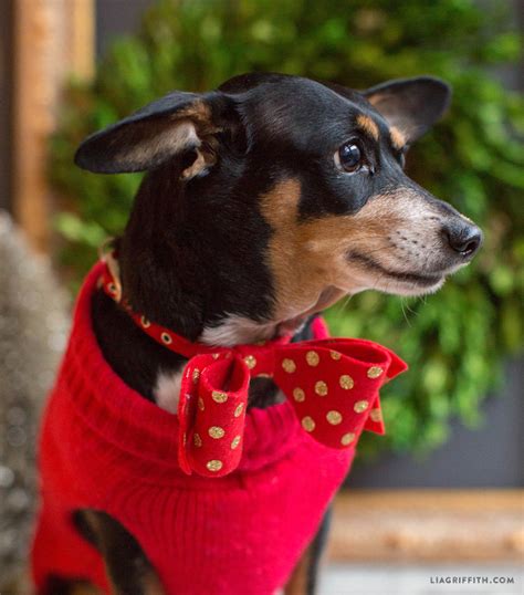 Dress Your Pet Up For The Holidays With Our Diy Animal Bow Tie