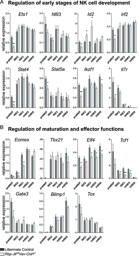 RBPJ Deletion Disrupts The Expression Of Genes Involved In Regulation