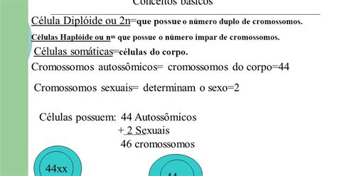 E Por Outro Lado Existem As Celulas Somaticas - Biologando: CELULAS SOMATICAS