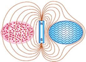 The Meissner Effect - Maharishi Vastu Australia and New Zealand