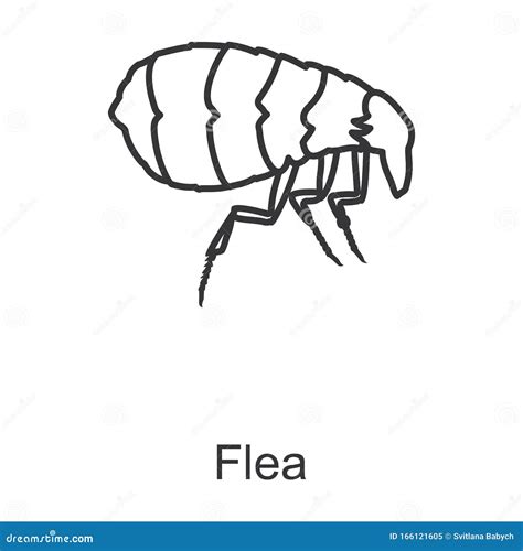 Flea Cartoons Illustrations And Vector Stock Images 5303 Pictures To