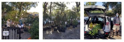 If You Are Interested In Joining The Windermere Tree Board Please