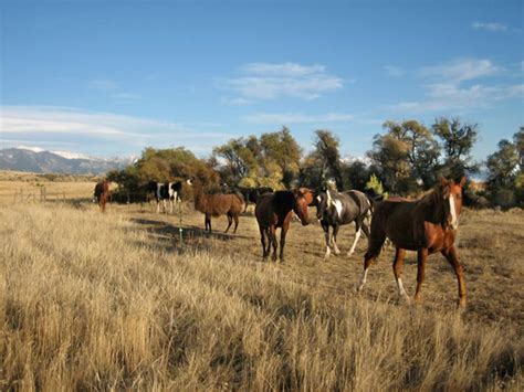 Top Montana Ranches for sale - Best ranches deals -- Fritz Montana Ranch | PRLog